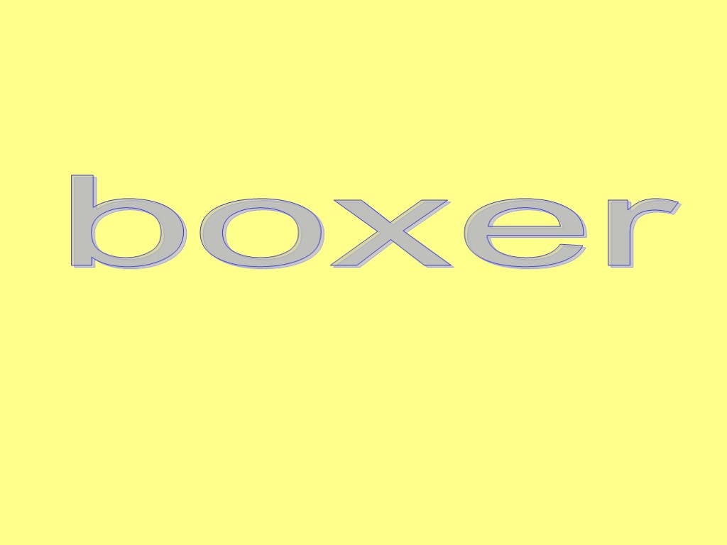 boxer